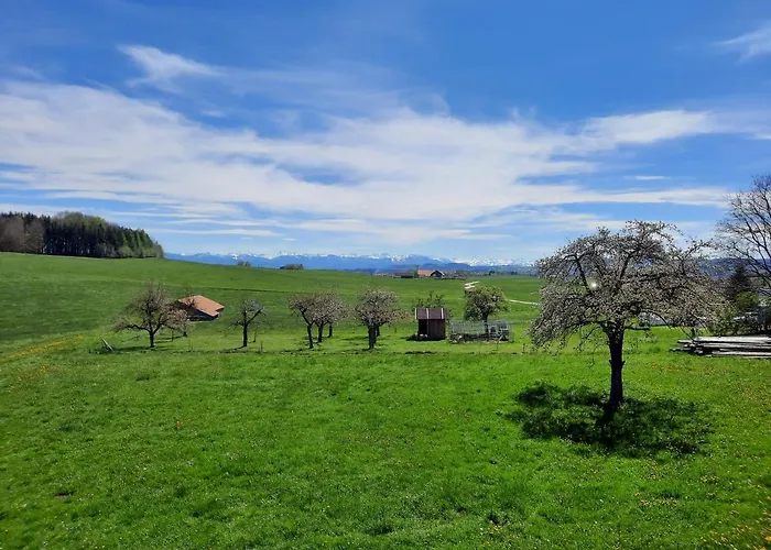 Bauer Haug Apartamento