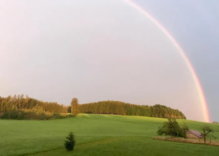 Bauer Haug Dietmannsried