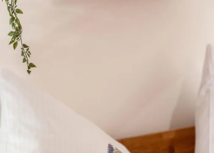 Bauer Haug * Dietmannsried