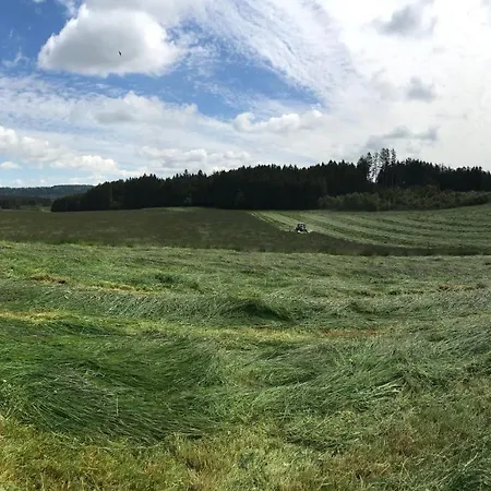 Διαμέρισμα Bauer Haug