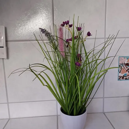Bauer Haug Apartment *